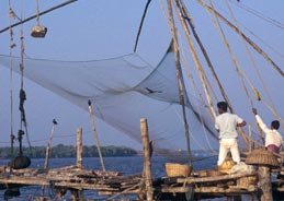 Chinese Fishing Nets Cochin