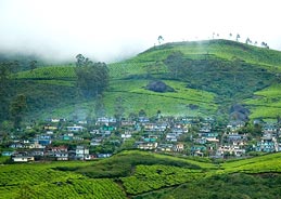 Devikulam Munnar in Kerala