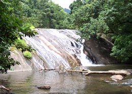 Dhoni Falls in Palakkad